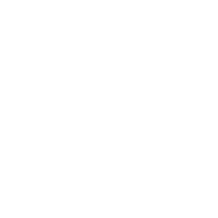 Google Plus